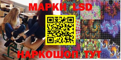 PSILOCYBIN Бердск