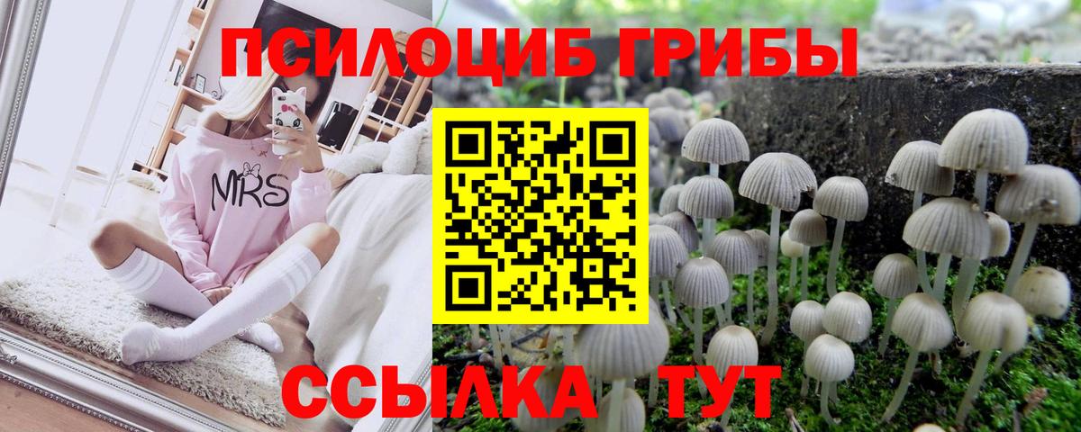 Асино  наркошоп  Псилоцибиновые грибы Psilocybine cubensis  Вход с VPN  Галлюциногенные грибы Cubensis 